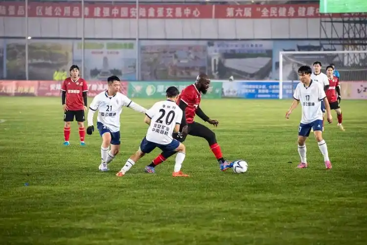 雨燕免费直播在线观看